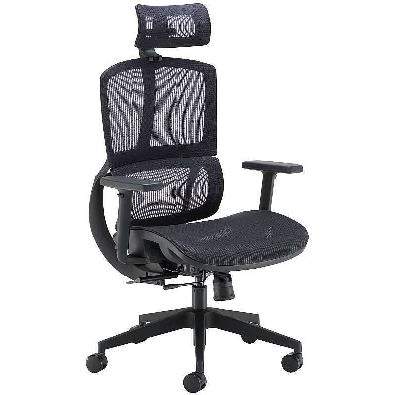 Alto Posture Mesh Office Chair