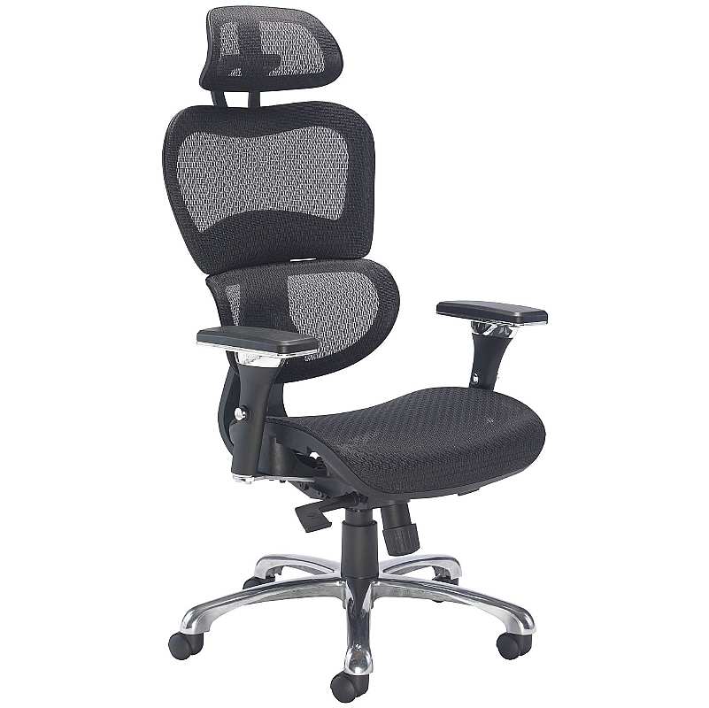 Chachi Posture Mesh Office Chair