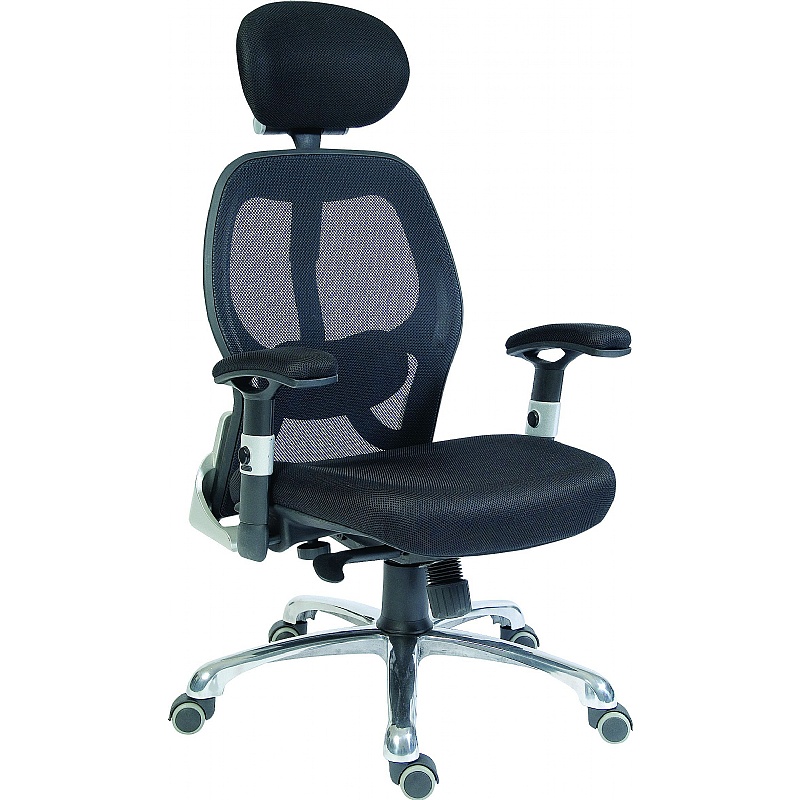 Cobham Ergonomic Mesh Office Chairs