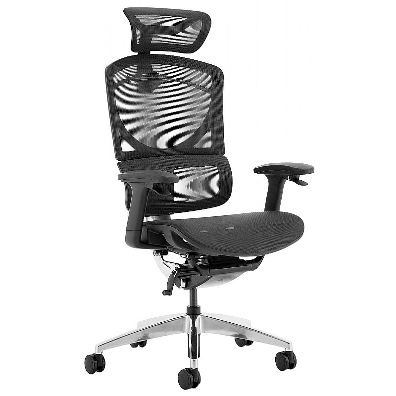 Ergo Click Plus Mesh Posture Office Chair