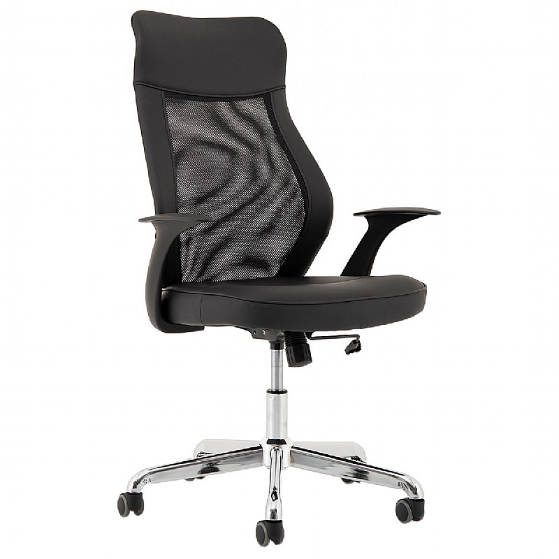 Baye Executive Mesh Office Chair