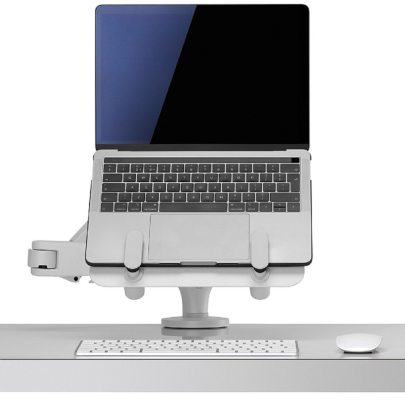 Ollin Laptop and Tablet Monitor Arm - Office Accessories