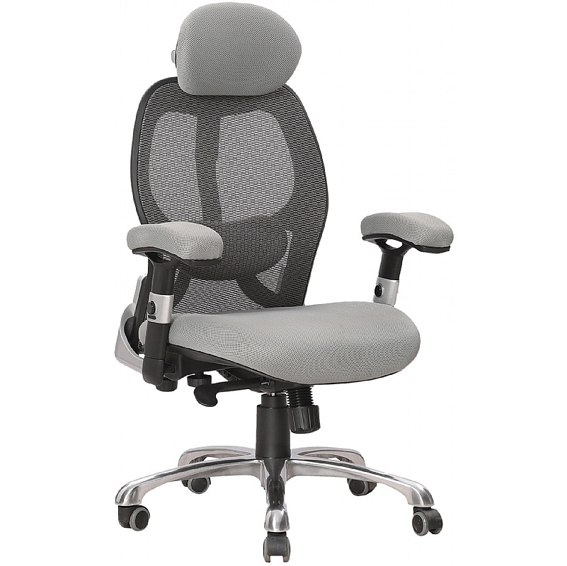 Ergo Ergonomic High Back Executive Mesh Chair