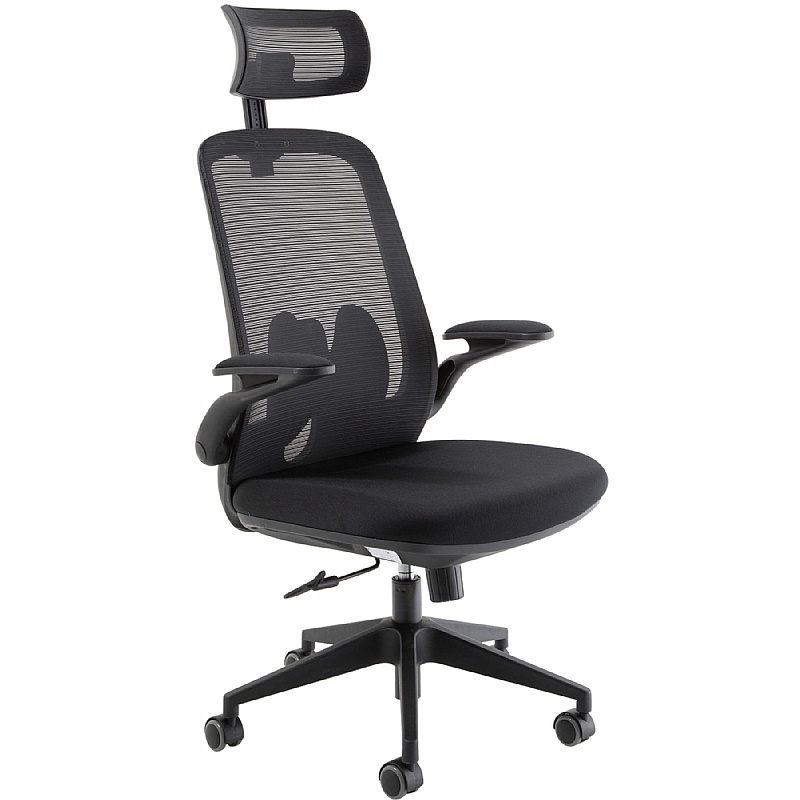 Fly Executive Mesh Office Chair - Office Chairs