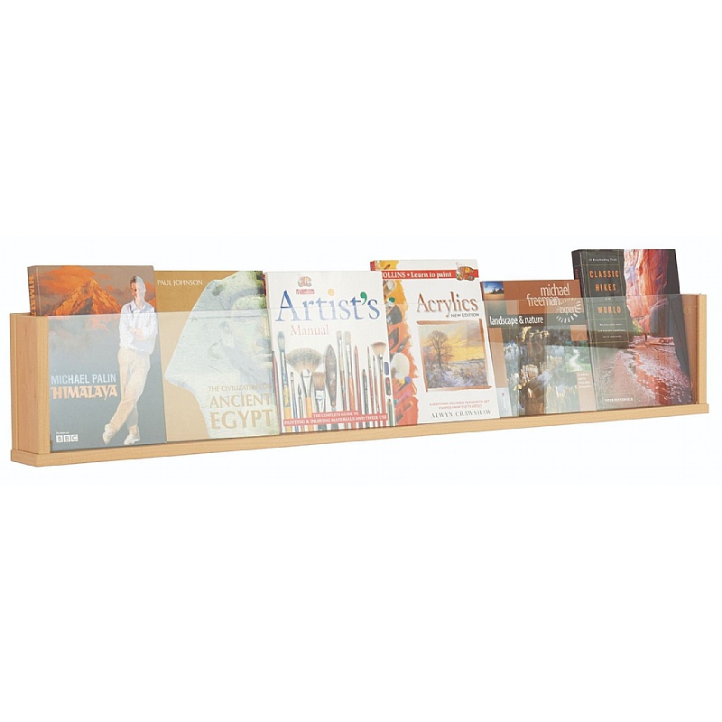 Wall Mounted Shelf Leaflet / Brochure Dispensers