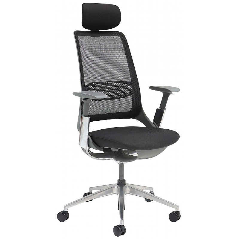 Holden Ergonomic Mesh Office Chair