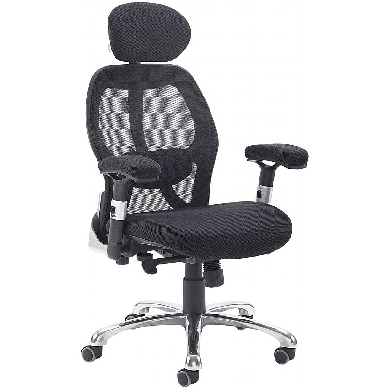 Sandro Ergonomic Mesh Office Chair - Office Chairs