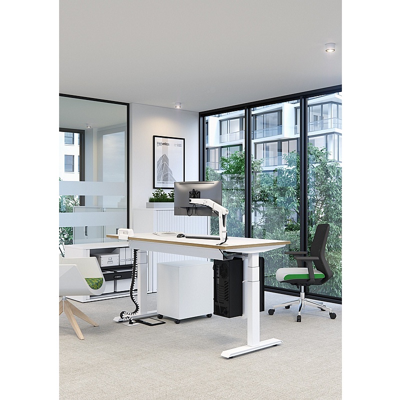 Progress Plus Electric Height Adjustable Shallow Rectangular Office ...