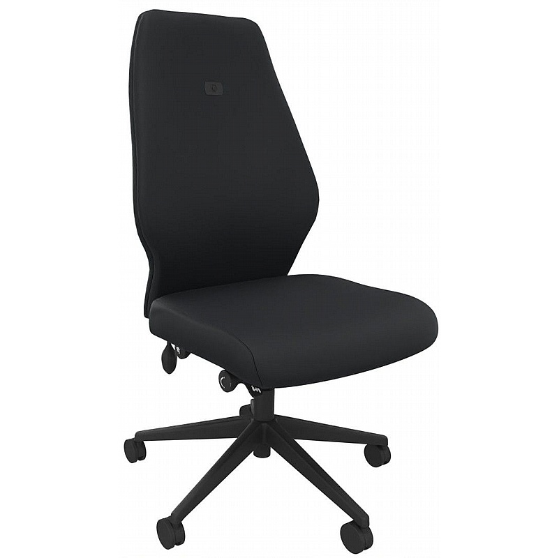 Solo High Back Ergonomic Posture Task Chairs - Office Chairs