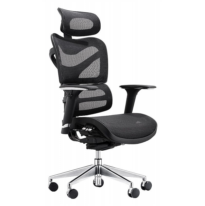 Dorsum Heavy Duty Ergonomic Mesh Office Chair - Office Chairs
