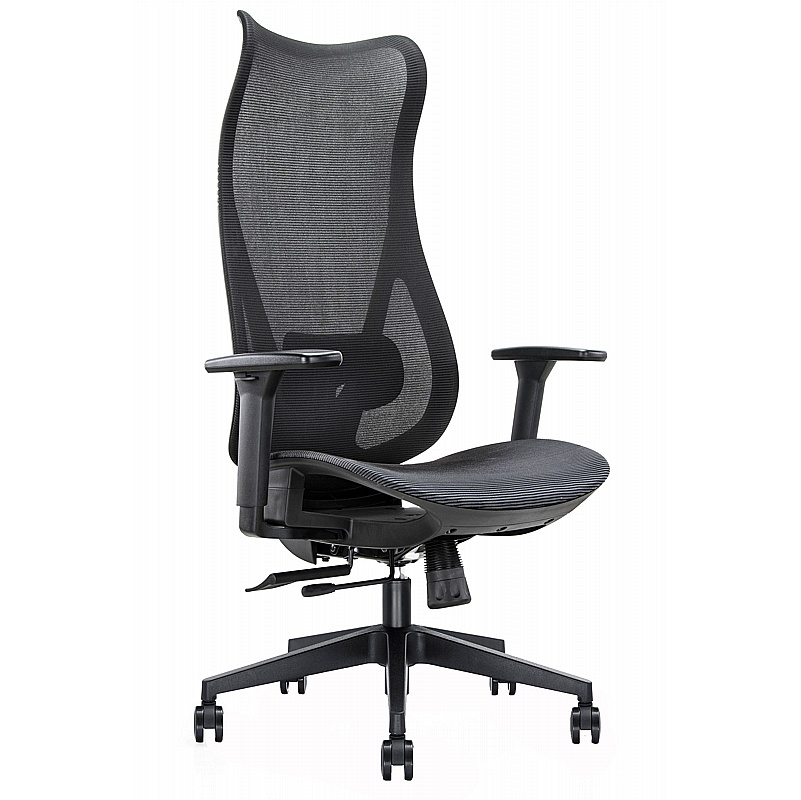 Mala Extra High Back Ergonomic Mesh Office Chair - Office Chairs