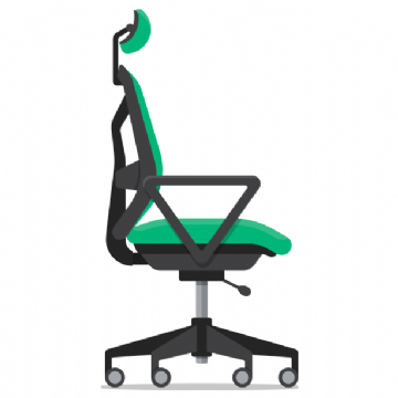 Fixed Loop Arms