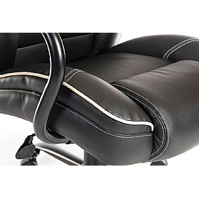 Goliath Duo 27 Stone 24 Hour Bariatric Bonded Leat