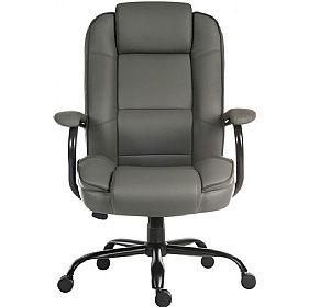 Goliath Duo 27 Stone 24 Hour Bariatric Bonded Leat