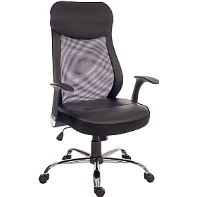Curve Mesh Office Chair