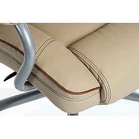 Goliath Duo 27 Stone 24 Hour Bariatric Bonded Leat