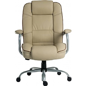 Goliath Duo 27 Stone 24 Hour Bariatric Bonded Leat