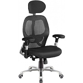 Ergo Ergonomic High Back Executive Mesh Chair