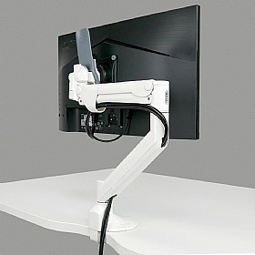 Levo Gas Lift Single Monitor Arm
