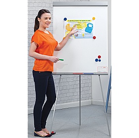 Magnetic Telescopic Flip Chart Easel