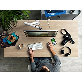 Flo Single Screen Dynamic Monitor Arm - Office Accessories