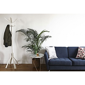 Cafe White Office Coat Stand - Office Accessories