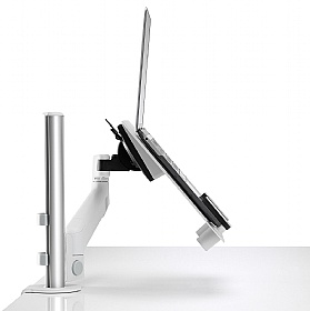 Lima Dual Screen Laptop and Monitor Arm White