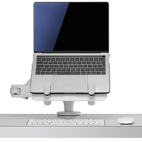 Ollin Laptop and Tablet Monitor Arm