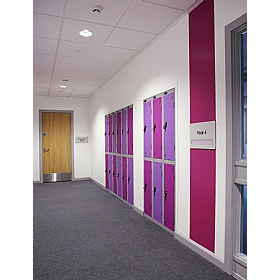 Atom Multicoloured Door Lockers