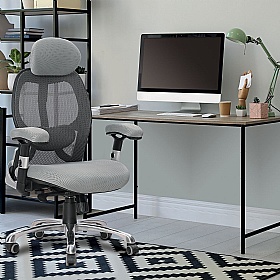 Ergo Ergonomic High Back Executive Mesh Chair