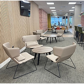 Levato Medium Back Sled Base Lounge and Breakout Chairs