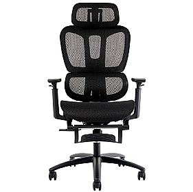 Revive All Mesh Executive Office Chair - Office Chairs