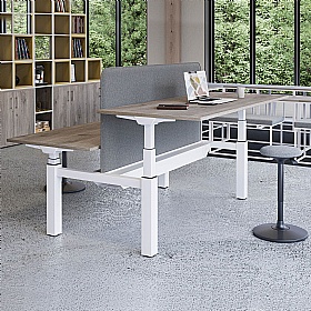 Flow Plus Sit Stand Back to Back Rectangular Desktop Screens