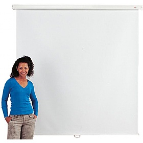 Eyeline Basic Wall Screens