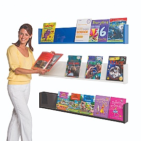 Wall Mounted Shelf Leaflet / Brochure Dispensers