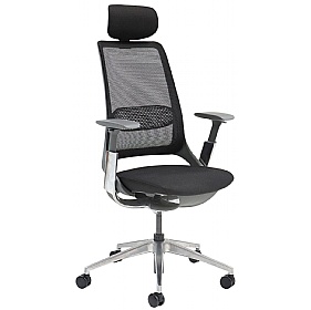 Holden Ergonomic Mesh Office Chair
