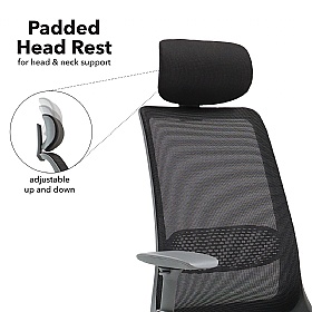 Holden Ergonomic Mesh Office Chair