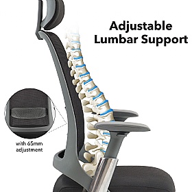 Holden Ergonomic Mesh Office Chair