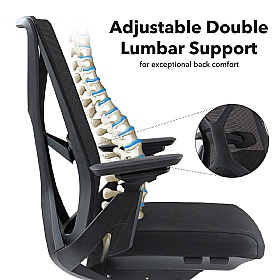 Paxton Ergonomic Mesh Office Chair