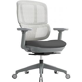 Shelby Ergonomic Mesh Office Chairs
