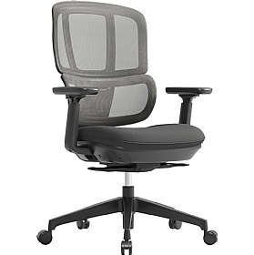 Shelby Ergonomic Mesh Office Chairs