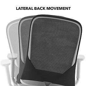 Sway Ergonomic Mesh Office Chair