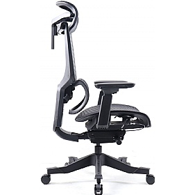 Elise Ergonomic Mesh Office Chair