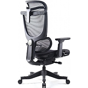 Elise Ergonomic Mesh Office Chair