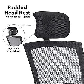 Gemini Mesh Office Chair with Headrest