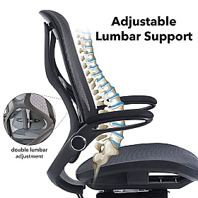 Napier High Back Mesh Task Chair