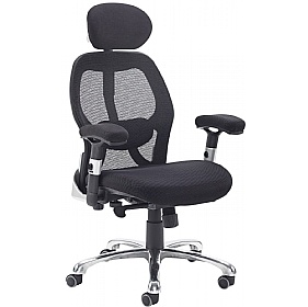 Sandro Ergonomic Mesh Office Chair