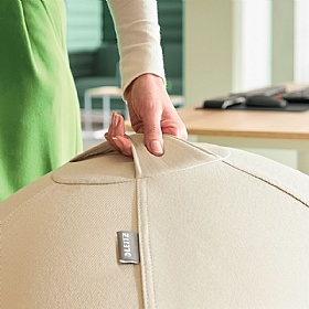 Leitz Ergo Active Sitting Balls