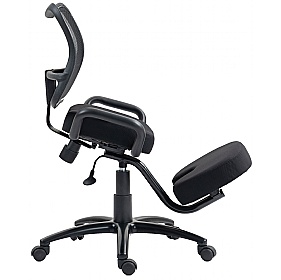 Professional Heavy Duty Kneeling Chair