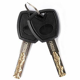 Phoenix Fingerprint Key Deposit Safe